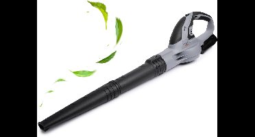 QLT Accu Bladblazer met Lader – Lichtgewicht en Krachtig Tuingereedschap voor Bladeren, Stof en Grasresten – 12V