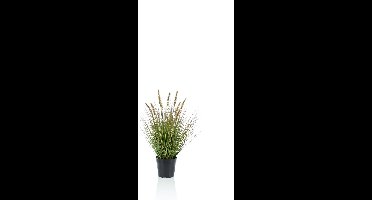 Emerald - Kunstplant Pennisetum Gras 58cm - Kunstplant voor binnen