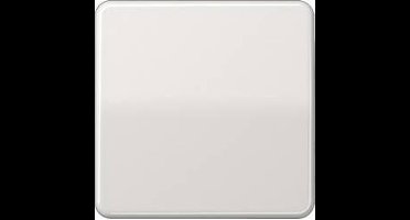 Jung CD500 Schakelelement/Centrale Plaat - CD590LG - E2V26