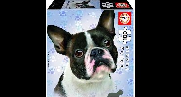 Bouledogue français