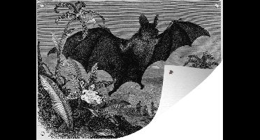 Tuin decoratie vintage tekening van een vliegende vleermuis in zwart-wit - 40x30 cm - Tuindoek