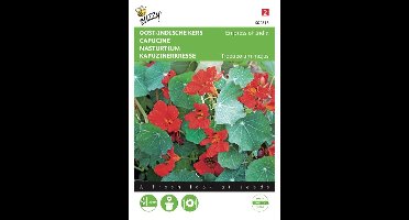 Oost-Indische kers Empress of India - Tropaeolum majus nanum