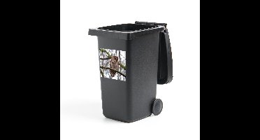 Container sticker Bosuil - Een bosuil zit te uitrusten op een dunne tak - 40x40 cm - kliko sticker - weerbestendige containersticker