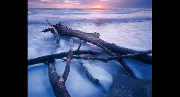 Kunstdruk Popp-Hackner - NPVB Weststrand 90x70cm