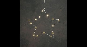 Lumineo LED Ster 20 LEDs 45 cm Warm Wit Licht Zilver