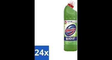 24 x Glorix - Bleek - Dennen - Bescherming tegen Kalkaanslag - 750 ml - Toilet Reinigen - Kalkaanslag Voorkomen - Hygiëne - Frisse Geur - Vuil Verwijderen