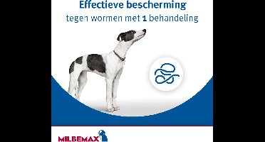 Milbemax Kauwtabletten - kleine hond - 8 tabl.