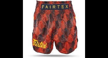Fairtex x Booster TBT Kickboxing shorts - BS1919 - M
