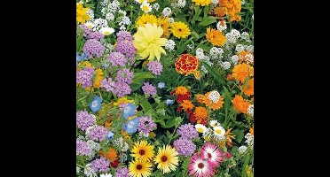 Bloemen mix zaden - Bijenmix