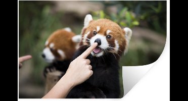 Muurstickers - Sticker Folie - Panda - Hand - Rood - 30x20 cm - Plakfolie - Muurstickers Kinderkamer - Zelfklevend Behang - Zelfklevend behangpapier - Stickerfolie