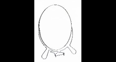 Gerimport Spiegel Vergrotend 3 X 22 Cm Staal/glas Zilver