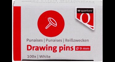 Punaises Quantore 100 stuks zilver