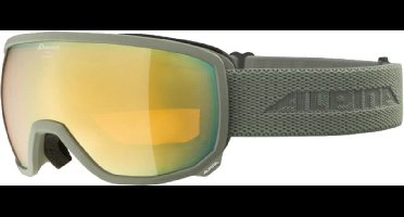 Alpina Scarabeo Q-Lite OTG Skibril | Grijs | Categorie 2