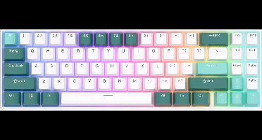 Royal Kludge RK71 - Gaming Toetsenbord - Draadloos - Mechanisch - RGB - Keyboard - Gaming