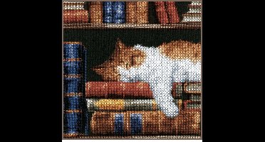 Vervaco - Telpakket kit - Slapende kat op boekenrek - PN-0147121 - Borduren - Borduurpakket - Borduurpakket volwassenen