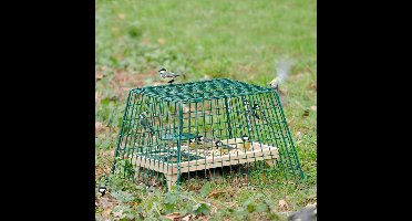 CJ Wildlife Beschermkooi voor Voedertafel - Midi - Openingen van 6,5 x 3,5cm voor Mussen, Mezen & Vinken - Groen