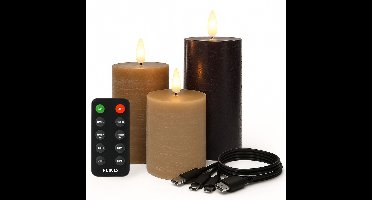 FlinQ Oplaadbare LED Kaarsen met Levendige Vlam - Inclusief Afstandsbediening met Timer en Dimfunctie - Nep Kaarsen met Flikkerende Vlam - Dinerkaarsen Oplaadbaar - 3 stuks - Classic Earth