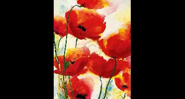 Kunstdruk Heidi Reil - Roter Mohn 70x90cm
