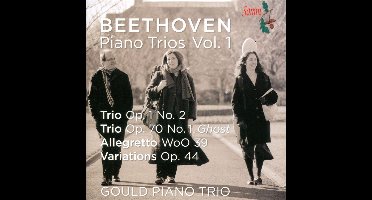 Gould Piano Trio - Piano Trios, Volume 1