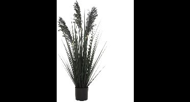 Buitengewoon de boet - Siergras in pot zwart 92 cm kunstplant