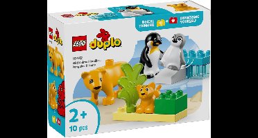 LEGO DUPLO Stad Families van wilde dieren: pinguïns en leeuwen - 10442