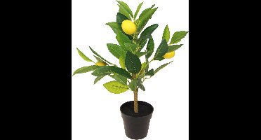 Decoratieve plant Everlands Plastic Citroenboom 17 x 24 x 43 cm