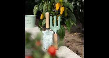 Tuingereedschapset tuinhark tuinschep 25/28cm