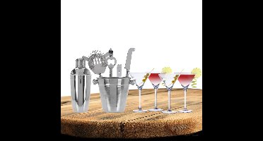 Excellent Houseware cocktails maken set 6-delig met 4x Martini glazen 220 ML