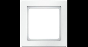 Hager Berker Q.1 Afdekraam Schakelmateriaal - 10116089 - E2FKG
