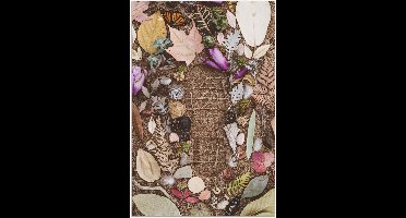 Poster – Voetstap omringd door Bloemen - 80x120cm Foto op Posterpapier