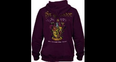 Harry Potter Kids - Gryffindor Jongens & meisjes Trui met capuchon - bordeaux - 164