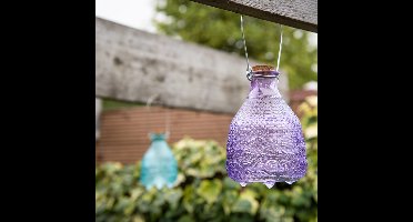 Dutchlander Vintage wespenval ruitjesglas S paars