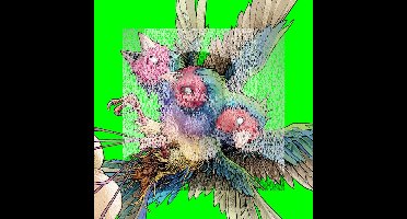 Gouldian Finch - Hatch (LP)