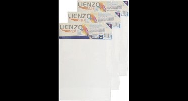 Gerimport Schilderdoek - 3x - 30 x 20 cm - blanco canvas - rechthoekig - houten frame - schilderijen maken