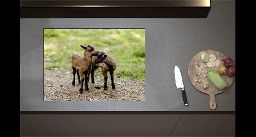 Inductieplaat Beschermer - Bruin met Zwarte Kussende Lammetjes - 71x51 cm - 2 mm Dik - Inductie Beschermer - Bescherming Inductiekookplaat - Kookplaat Beschermer van Zwart Vinyl