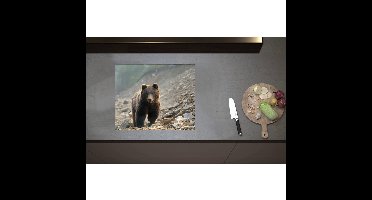 Inductieplaat Beschermer - Bruine Beer tussen de Stenen - 60x50 cm - 2 mm Dik - Inductie Beschermer - Bescherming Inductiekookplaat - Kookplaat Beschermer van Zwart Vinyl