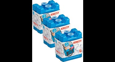 6x stuks 100 grams koelelementen 8 x 7.5 x 2.3 cm kobalt blauw kunststof met sneeuwvlokken print