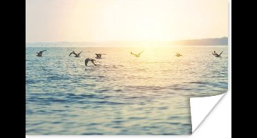 Meeuwen vliegen over de zee Poster 30x20 cm - klein - Foto print op Poster (wanddecoratie woonkamer / slaapkamer)