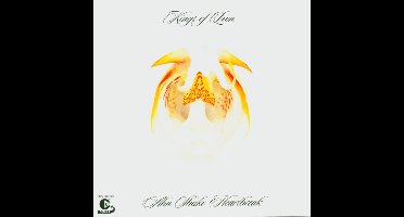 Aha Shake Heartbreak