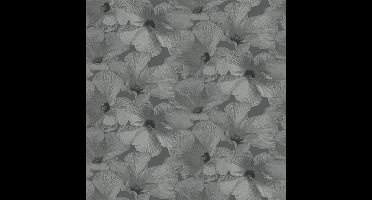 Annuell Hibiscus grijs 11003