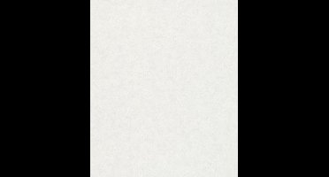 Kumano - Betonlook - Behang - Wallpaper - Vliesbehang - Wit - 0,53 x 10,05 M.