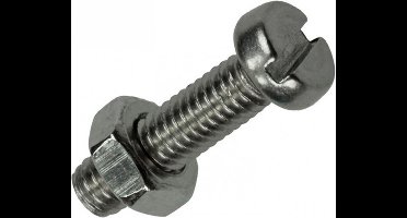 Mack METAALSCHROEF CYL. KOP+MOER RVS 12 ST M4X16