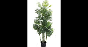 Monstera i/pot h140cm groen