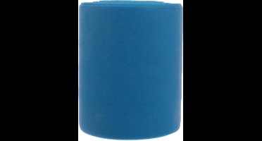 BECO Weerstandsband - Blauw - Sterk - 20 Meter