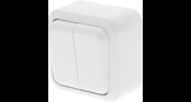 Q-LINK - Serieschakelaar - Opbouw - Dubbel Schakelaar - Polarwit