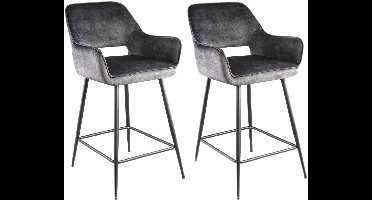 PTMD Fal Low Velvet Barkrukken - 60x54x95 cm - Grijs - Set van 2