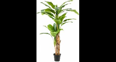 Fleurdirect Kunstplant Bananen - Polyester - Groen - 0 x 210 x 0 cm (BxHxD)