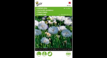 Buzzy - Zaden centaurea korenbloem white ball ca.1 gram