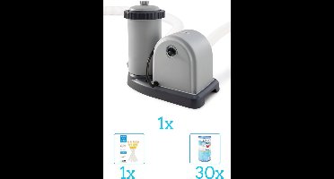 Intex 28636GS Filterpomp - 5.678 liter per uur inclusief Filter (30 stuks) - Testrips