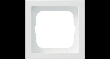 ABB Busch-Jaeger Future Afdekraam Schakelmateriaal - 2CKA001754A4414 - E2Q8Q